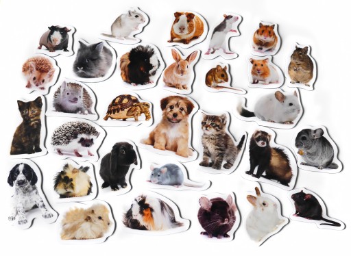 Magnety na chladničku Poznám PETS