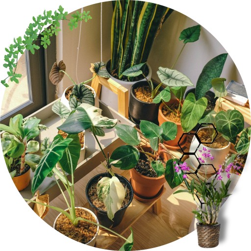PODPORKA pre rastliny MODULÁRNA kvetinová podpera 58cm sada x2 pre monstera hoi