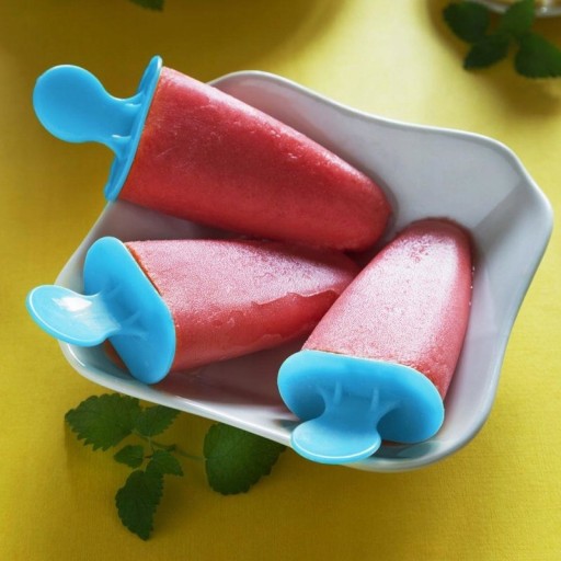 Formičky na ZMRZLINU, domáce na paličke, sorbet, forma na tyčinky, forma na zmrzlinu