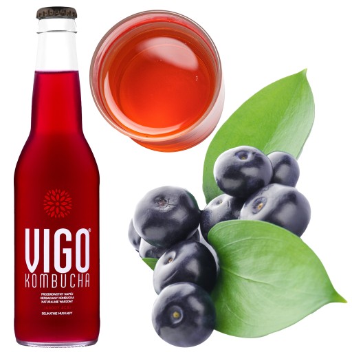 VIGO KOMBUCHA ACAI BERRIES 330ml ČAJ NÁPOJ