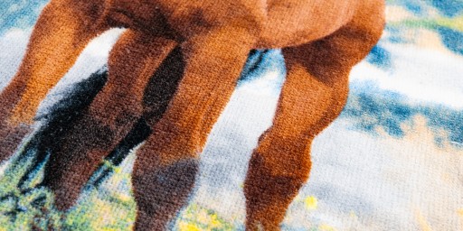 Osuška do škôlky 30x50 kone koníky poníky