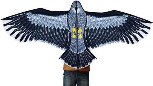 Látkový plašič Kite Bird Eagle 160 cm