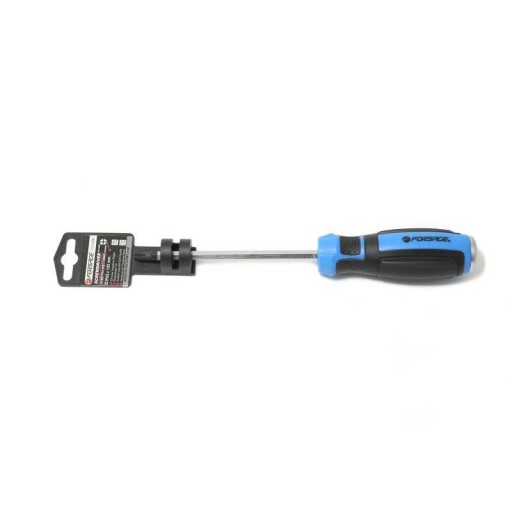 Skrutkovač magnetický krížový skrutkovač PH2x100mm Power FORSAGE