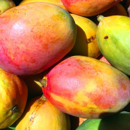 Sirup do Soda FruttaMax MANGO karbonizátor 500 ml na 12 l