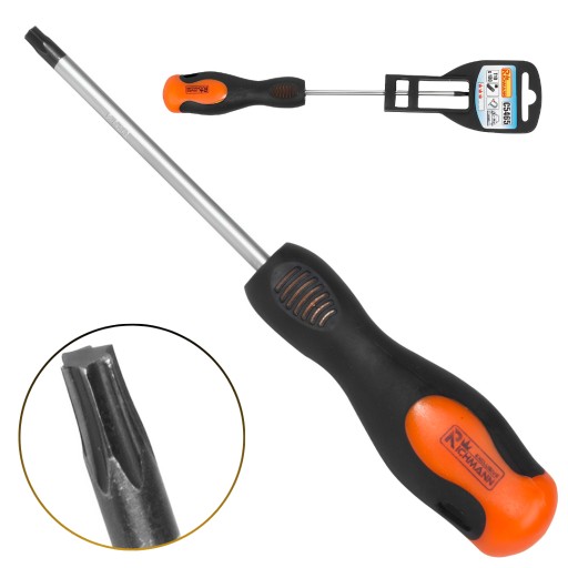 MAGNETICKÝ PROTISKLUZOVÝ SKRUTKOVAČ TORX T10 x 100 MM CR-MO RICHMANN C5465
