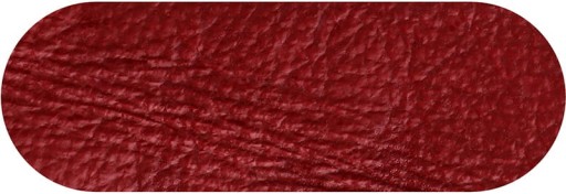 Koža PAINT Renozdrowie 30ml WILBRA popolavo šedá