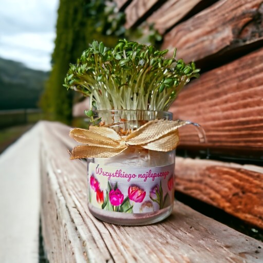 CRESS V MINI Tvárničke S VEĽKONOČNOU DEKORACIou Rastú, aby rástli