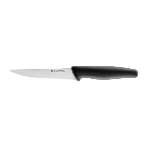 ASPIRO AMBITION STEAKOVÝ Nôž 11,5 CM OCEL