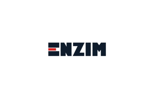 Enzim E431 Čistič škár 0,5L