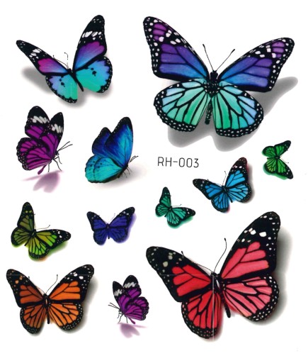 Odnímateľné tetovanie pre deti BUTTERFLIES RH003