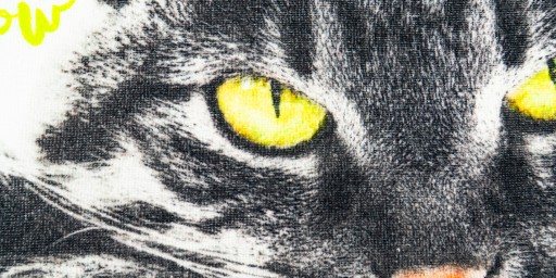 Osuška do škôlky 30x50 mačiatko