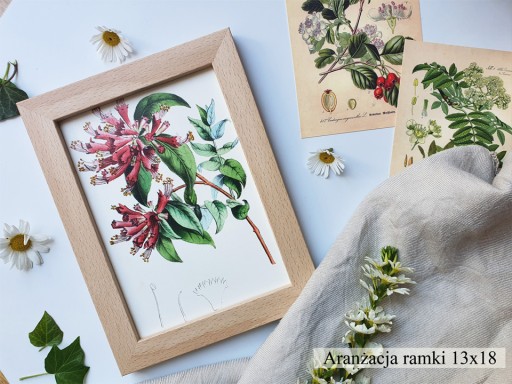 Diplomový fotorámik 15x21 Italia Buk