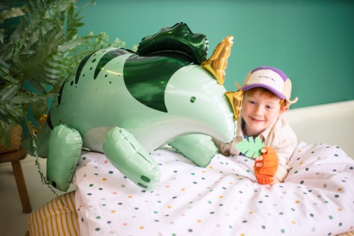 Dinosaurus Triceratops 40