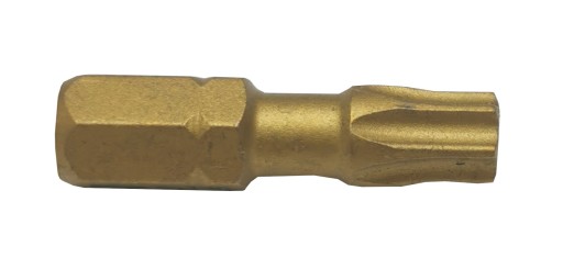 Bit TITANIZOVANÝ, hrot TORX TX20, 25mm