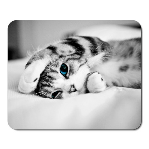 Podložka pod myš s mačkou, CATS