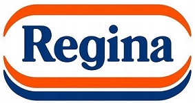 Univerzálna papierová utierka REGINA BLITZ - 100 listov, 3 vrstvy celulózy