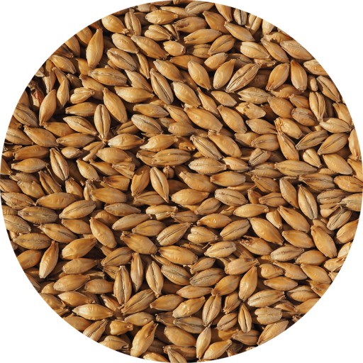 Best Ale Crisp jačmenný slad 1 kg