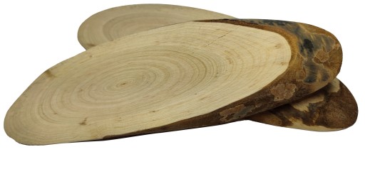 PLÁSOK KONSKÉHO DREVA, ELIPTICKÝ, ŠIKMÝ, 25-30 CM, DEKORATÍVNY PODNÁK, DREVO