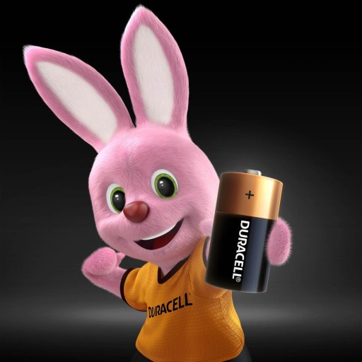 2x ALKALICKÉ BATÉRIE DURACELL C LR14 Blister