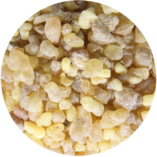 Boswellia Serrata vonná živica 50 g Aromaterapia Zápal