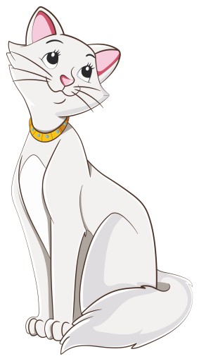 NÁLEPKA NA OKNO NÁBYTOK ZRKADLO KAT