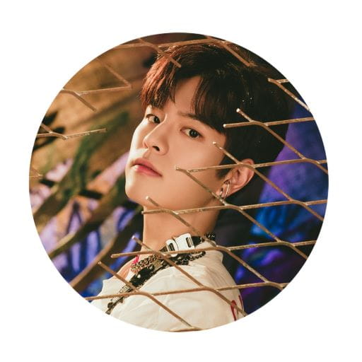 Stray Kids Seungmin 58mm K-pop špendlík