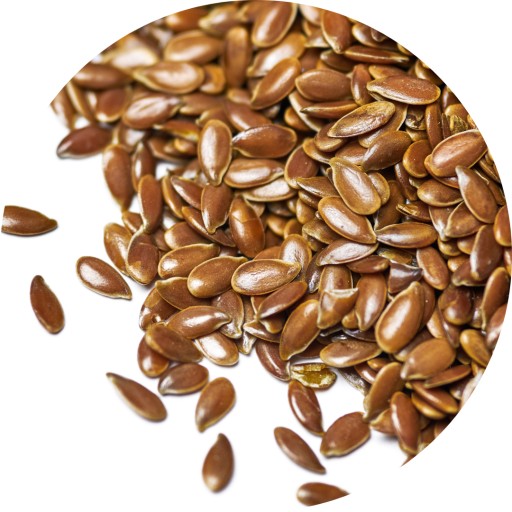 HNEDÉ ĽANOVÉ SEMIENKO 1kg PRÍRODNÁ ĽANOVÁ SEMIENKA ČERSTVÉ SEMIENKA PRÉMIOVEJ KVALITY