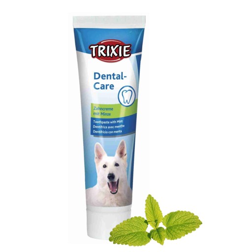 PASTA NA ČISTENIE ZUBOV PRE PSOV MINT TRIXIE DENTAL CARE 100G