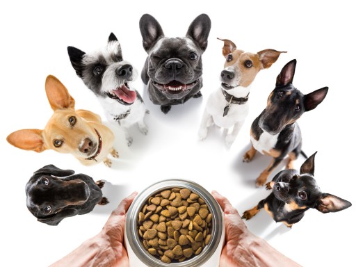 Pomeranian junior food bez kuracieho pokusu 50g