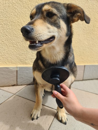 Samočistiaca kefa na srsť pre psov a mačky