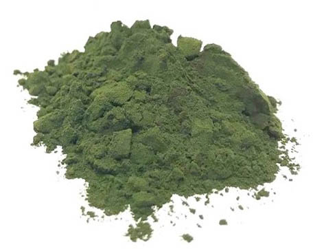 CHLORELLA PRÁŠKOVÁ 100g