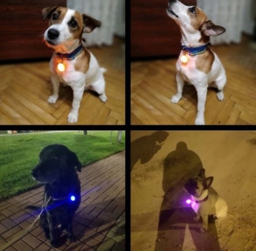 LED LAMPA NA PRÍVESKU NA GOLÍMEKU PSA