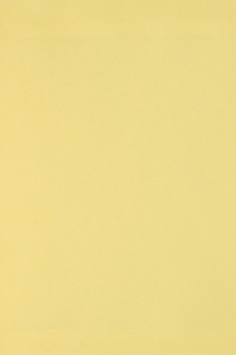 Farebný papier Bristol 250g žltý - 10A3