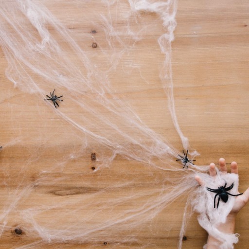 UMELÝ PAVÚČIK BIELY HALLOWEEN 2 PAVÚKY 20g OZDOBA OZDOBA S PAVÚKMI
