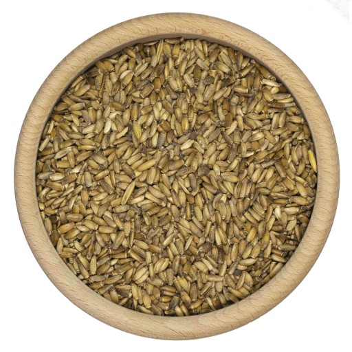 Osemená ostropestreca mariánskeho 1kg ČERSTVÝ ÚROV