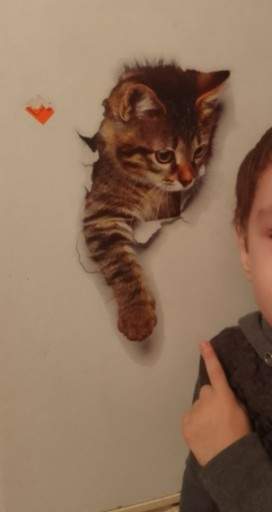 NÁLEPKA mačky na stenu DVERE MAČKY 3D sada 3 ks N10