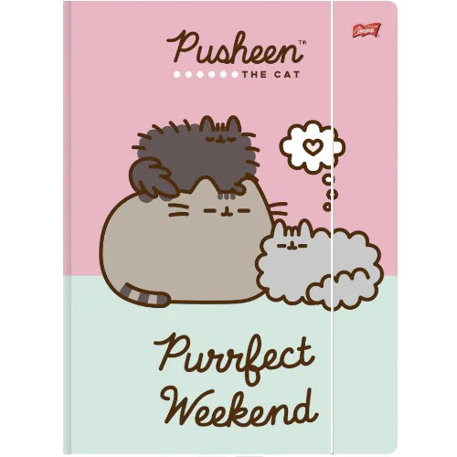 Pusheen školský skladačka A4 s gumičkou