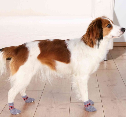 Trixie PROTIŠMYKOVÉ PONOŽKY pre psov, 2 ks L-XL, sivé