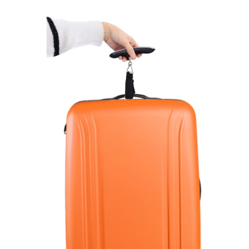 VÁHA NA BATOŽINU, cestovná, turistická, ručná, digitálna, 50 kg, letecká, ručná