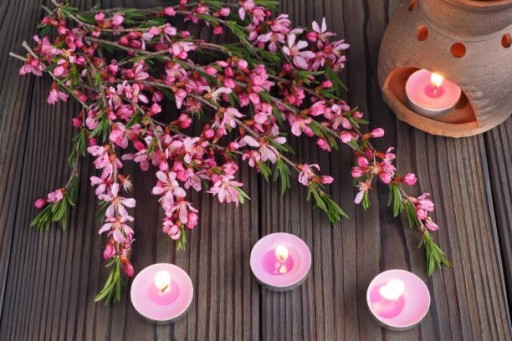 Čajová sviečka Bispol Aura vonné sviečky p15-30-184 VANILKA-ORCHIDEA 30 ks