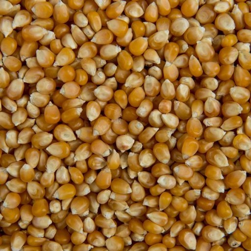 POPCORN kukuričné zrná na praženie 150g