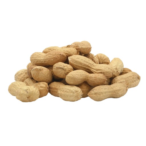 Arašidy pražené arašidy v škrupine 500g