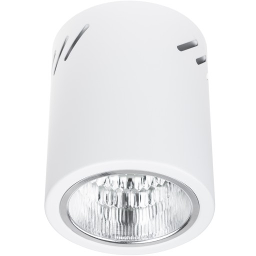 Prisadené stropné svietidlo SPOT LARGE TUBE LED E27 biele okrúhle 12cm