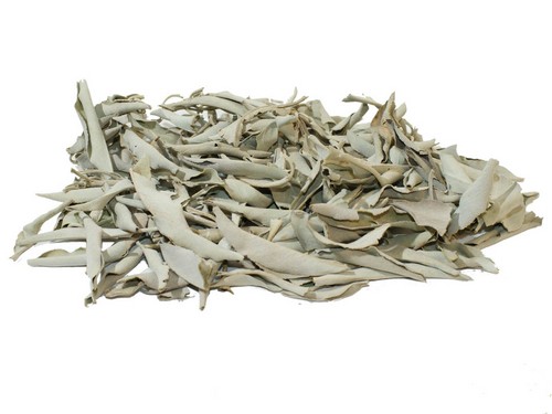 Biela šalvia (sušená 25g) čistiace kadidlo (White Sage / SALVIA APIANA