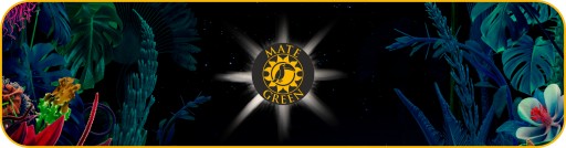 Yerba Mate Green MAS IQ Tropical 200g ovocný ananás Sila trópov na začiatok