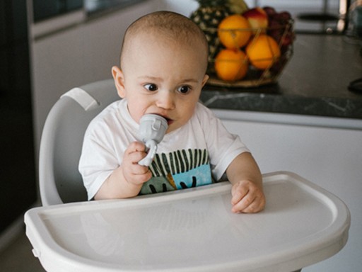 BABYONO HRUBÁK NA PODÁVANIE OVOCNÝCH JEDÁL DINO