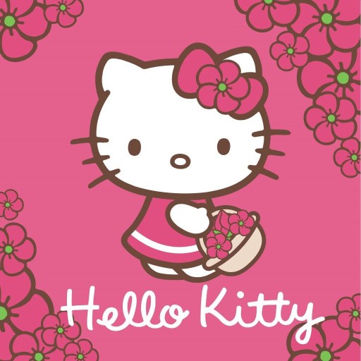 UTERÁK DO ŠKÔLKY 30x30 HELLO KITTY CAT CAT