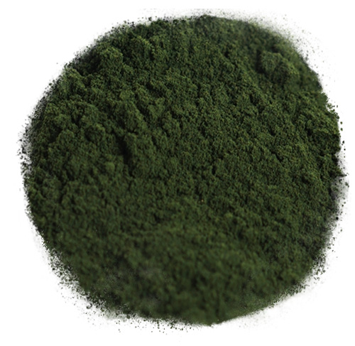 CHLORELLA POWDER 100g Prášok z morských rias, prírodná kvalita Kol-Pol