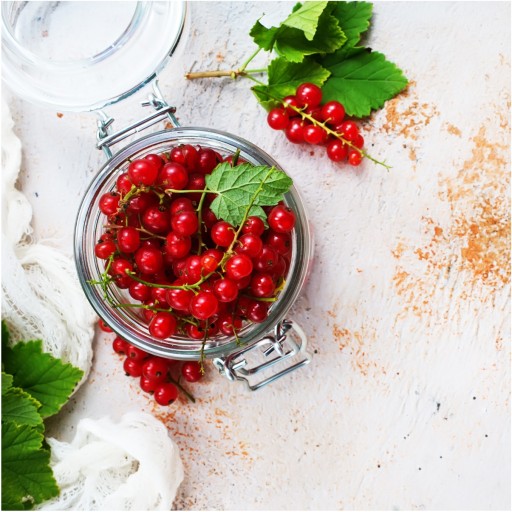 RÍBEZLE ČERVENÉ SUŠENÉ MRAZOM 25g HiFOOD