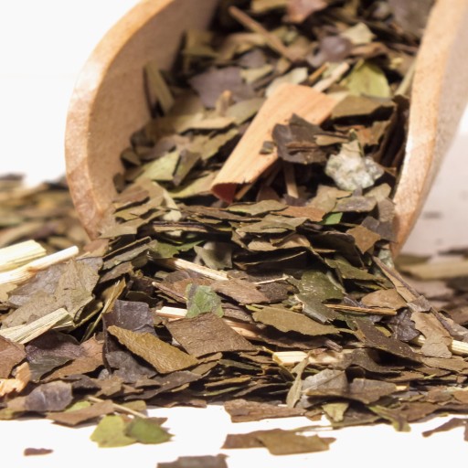 Ilex Guayusa Pachamama Organic Energy 25g